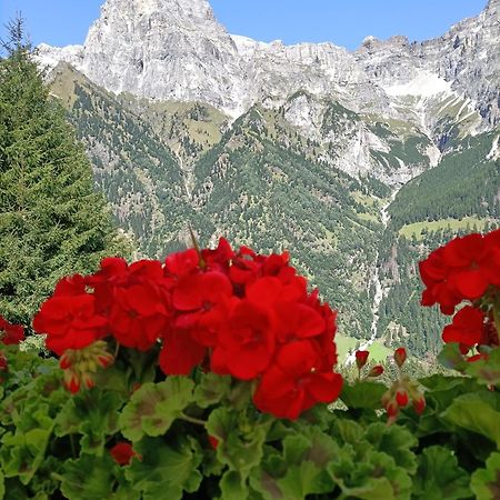 شقة La Stella Alpina كولّي إيساركو المظهر الخارجي الصورة